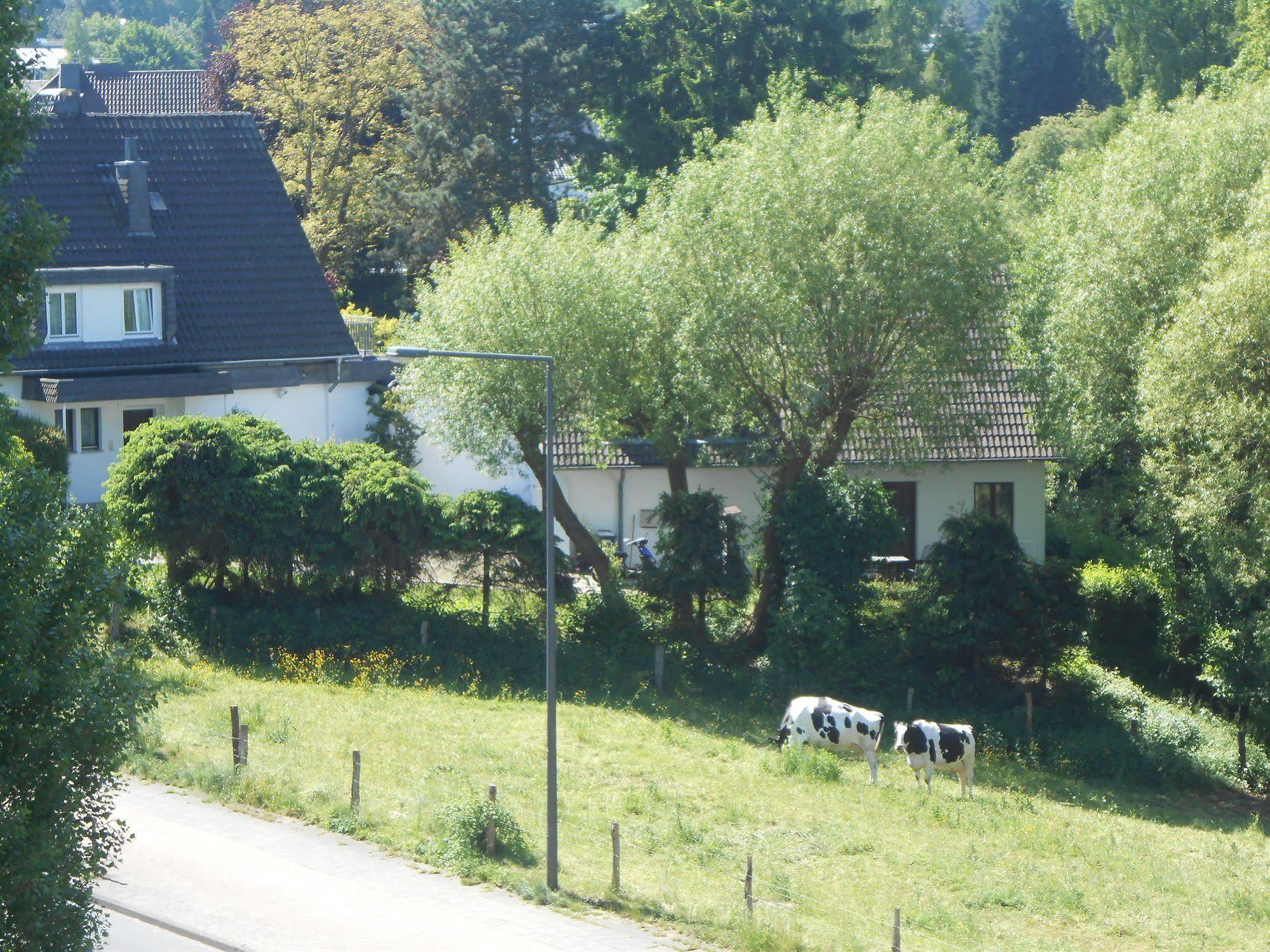 Buschhausen 3*